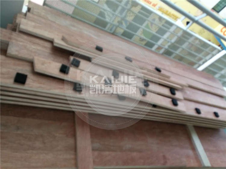 新加坡體育館木地板項(xiàng)目案例